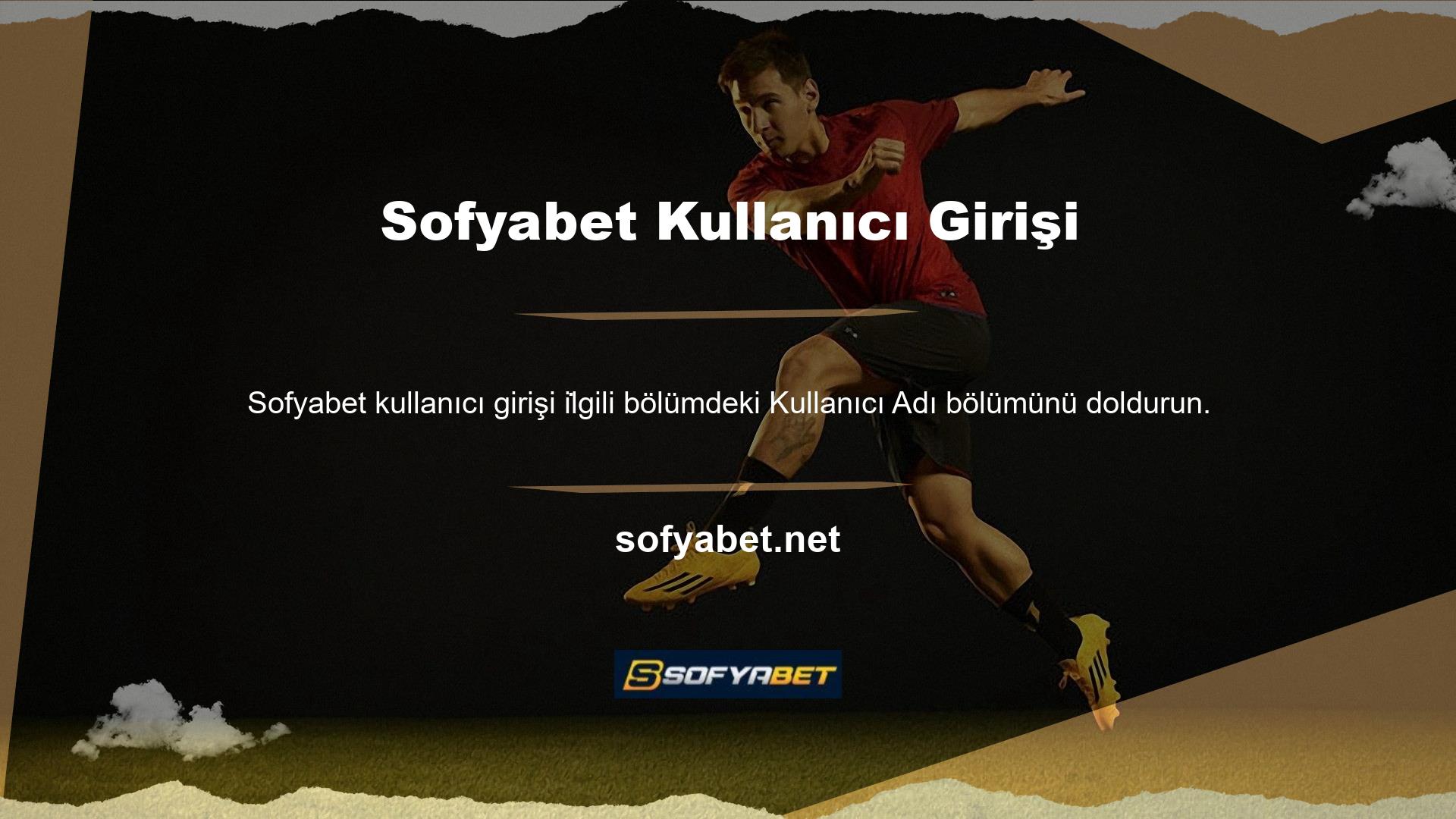 Sisteme erişmek için bir şifre girmeniz gerekecektir